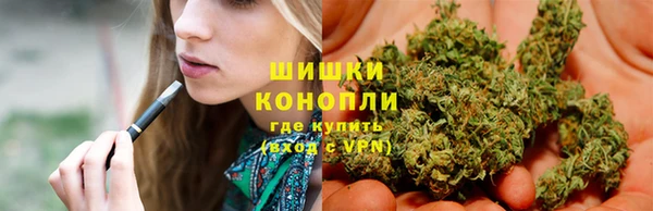 ПСИЛОЦИБИНОВЫЕ ГРИБЫ Алексин