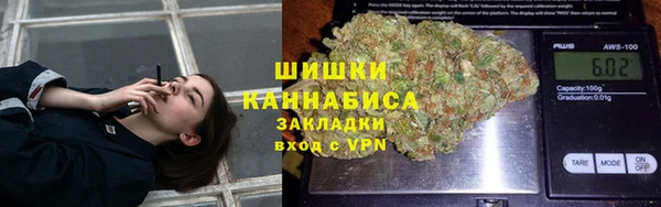 прущие грибы Магадан