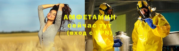 ПСИЛОЦИБИНОВЫЕ ГРИБЫ Алексин