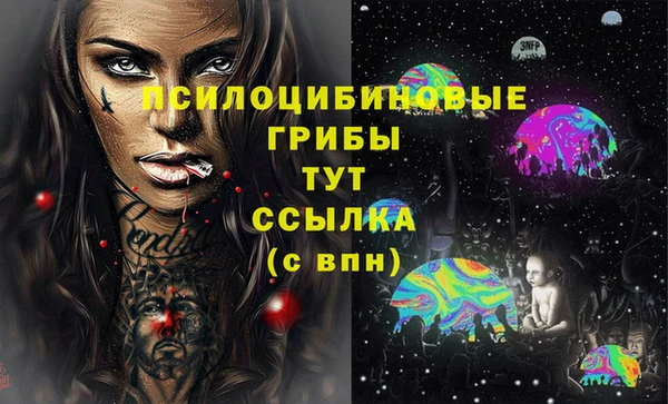 ПСИЛОЦИБИНОВЫЕ ГРИБЫ Алексин