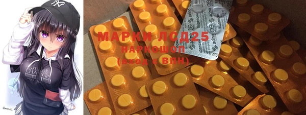 прущие грибы Магадан