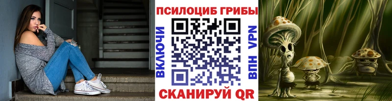 Псилоцибиновые грибы Cubensis дарк нет телеграм Азов